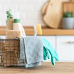 Elisia Cleaning