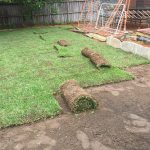 General Gardening in Sydney