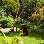 General Gardening in Sydney