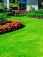 At Sura Landscaping & Home Improvement, we offer professional landscaping services designed to transform your outdoor spaces into beautiful, functional areas that reflect your style. From garden design and installation to lawn care and hardscaping, we take pride in delivering customized solutions tailored to your needs. Whether you’re looking to create a serene retreat or an entertaining haven, our experienced team will work with you every step of the way to bring your vision to life. Our team uses high-quality materials and the latest techniques to ensure that your landscape is not only visually stunning but also sustainable and low-maintenance. With a focus on enhancing the beauty, functionality, and value of your property, we provide landscaping services that stand the test of time. At Sura Landscaping & Home Improvement, we offer professional landscaping services designed to transform your outdoor spaces into beautiful, functional areas that reflect your style. From garden design and installation to lawn care and hardscaping, we take pride in delivering customized solutions tailored to your needs. Whether you’re looking to create a serene retreat or an entertaining haven, our experienced team will work with you every step of the way to bring your vision to life. Our team uses high-quality materials and the latest techniques to ensure that your landscape is not only visually stunning but also sustainable and low-maintenance. With a focus on enhancing the beauty, functionality, and value of your property, we provide landscaping services that stand the test of time.