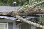 At Emergency Cleaning Service in Perth, we understand the devastating impact that severe weather can have on homes and businesses. Storms can cause extensive damage, leaving properties in disarray and homeowners feeling overwhelmed. Our comprehensive Storm Damage Restoration services are designed to provide prompt, professional, and effective solutions to restore your property to its pre-storm condition. With our expertise and dedication, you can trust us to handle every aspect of storm damage restoration with the utmost care and efficiency.