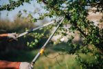 Tree Trotters Victoria Pty Ltd
