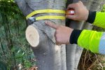 Tree Trotters Victoria Pty Ltd